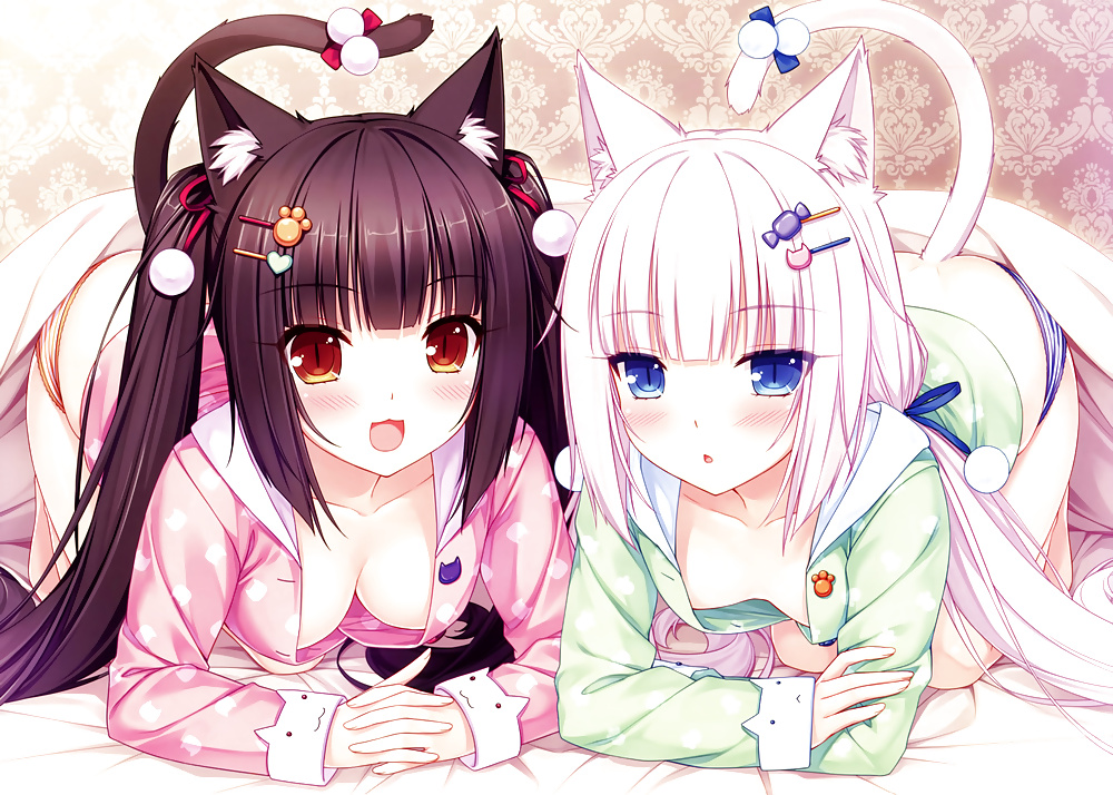 Chocola y vainilla (nekopara)
 #40935718