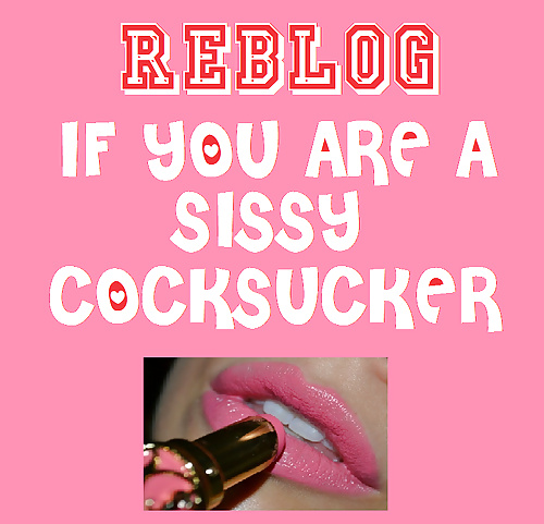 Sissy Cock Slut Training #29398880