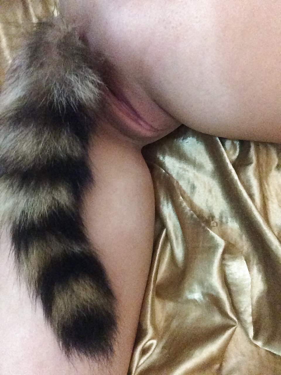 Tail plugs IV #31155473