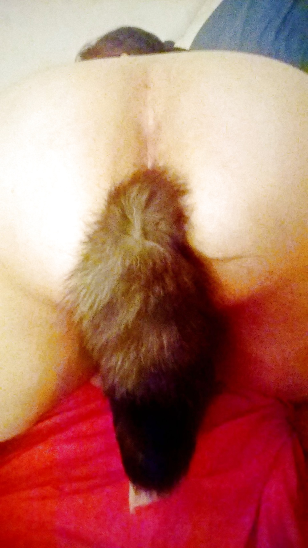 Tail plugs IV #31155537