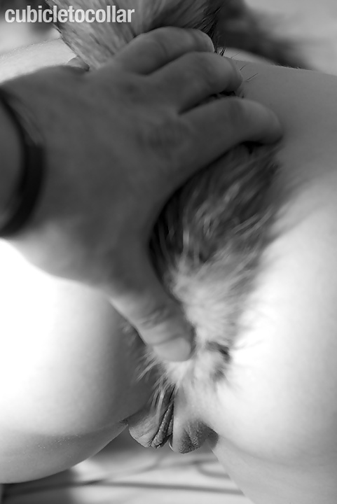 Tail plugs IV #31155570