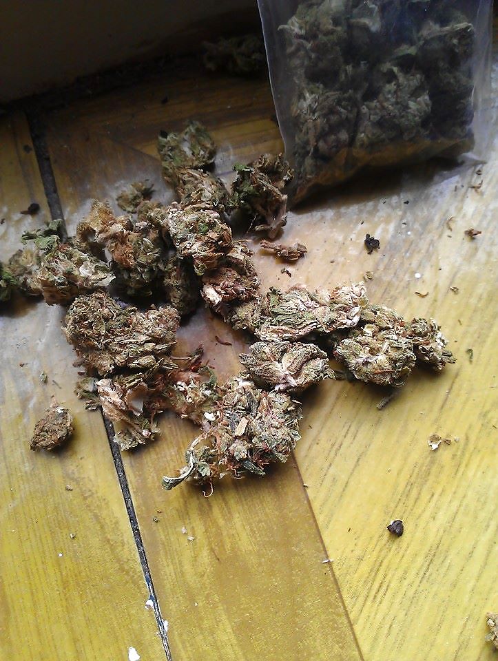 Da ultimate libra
 #24628586