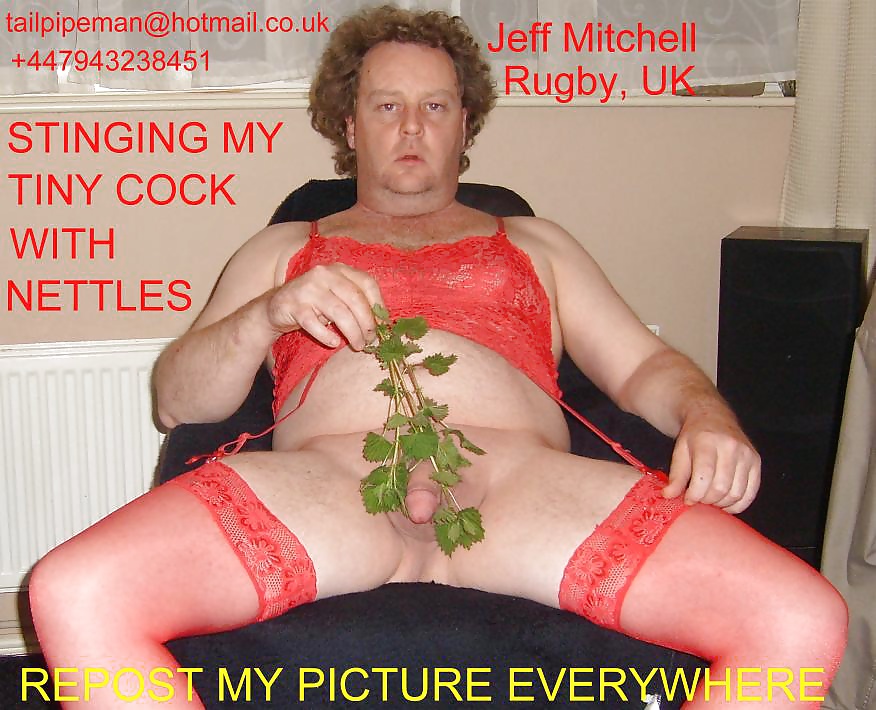 Jeff Mitchell email & mobile For Public Humiliation #39310930