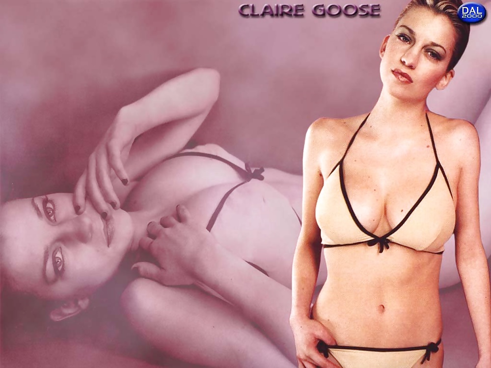 Claire goose
 #28868587