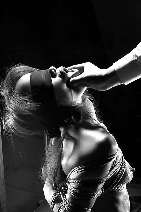 黒と白の249!
 #33982904