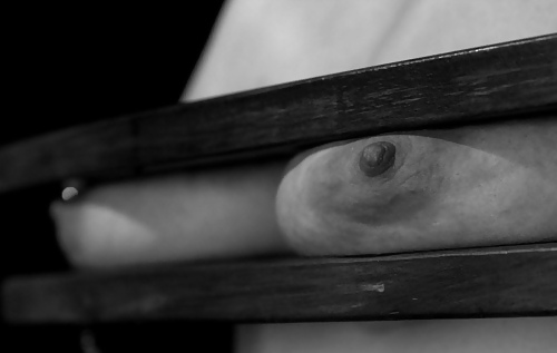 黒と白の249!
 #33982912