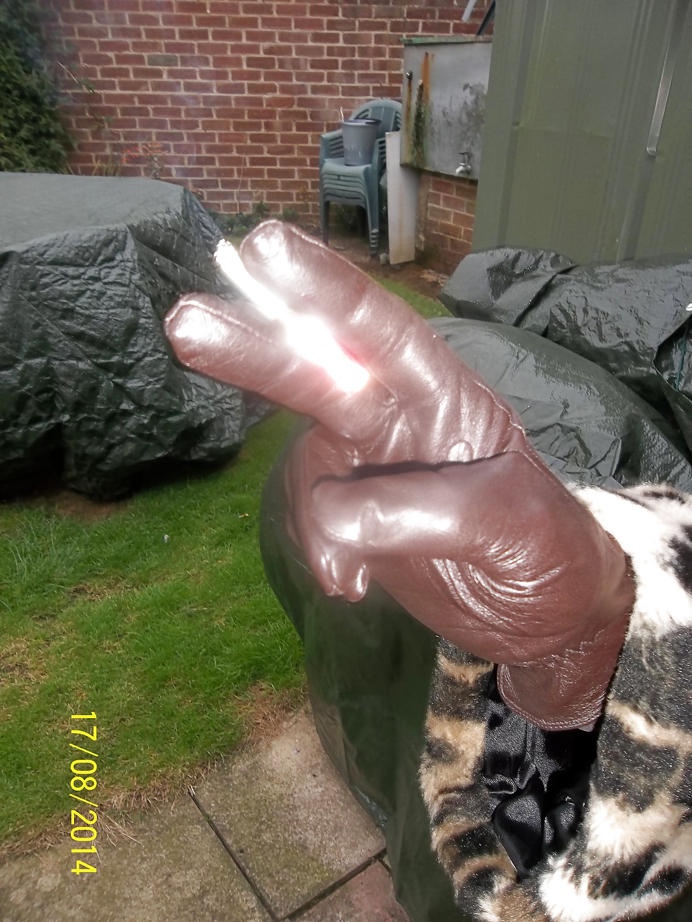 SPUNK COLLECTOR PT 1 #31078384