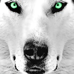 私の世界
 #31531786