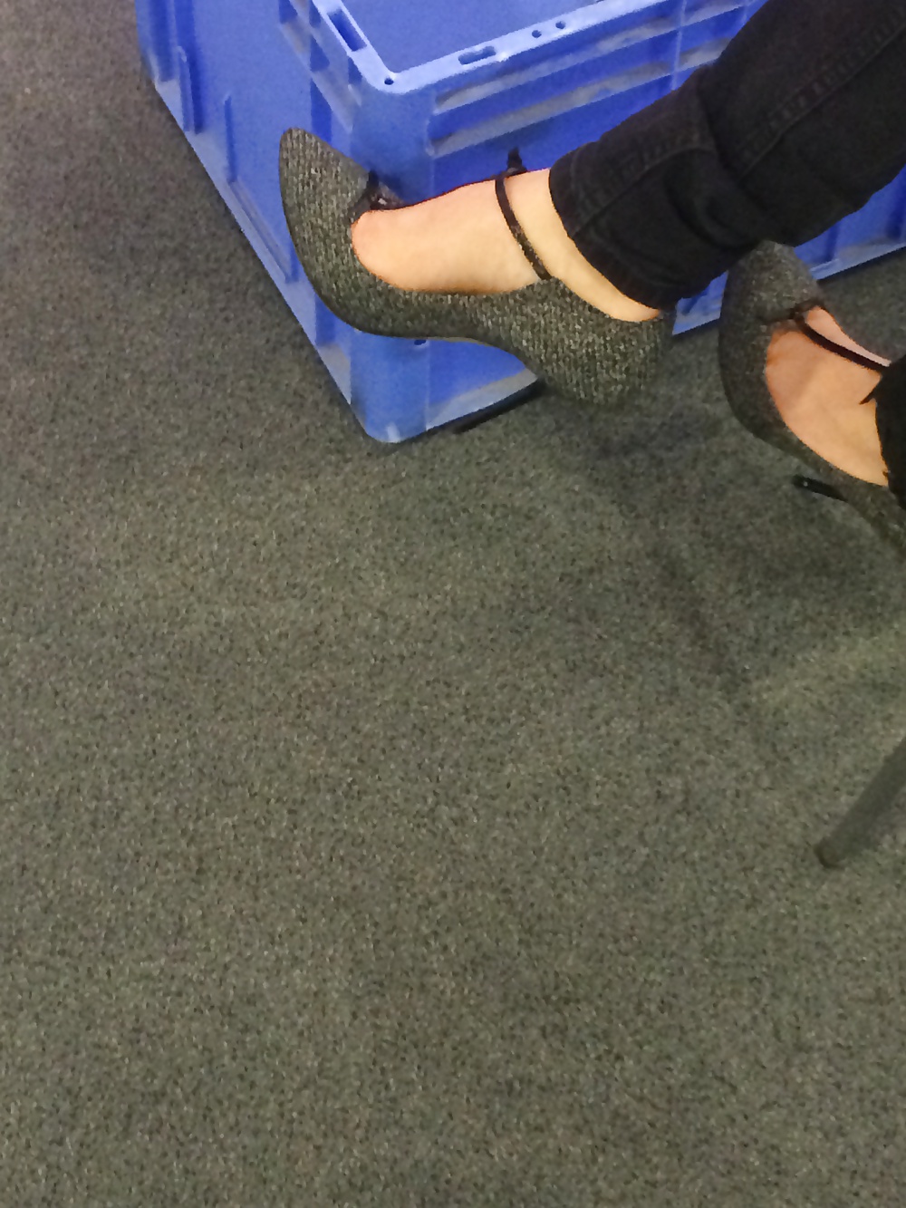 Pies de colega
 #29873900