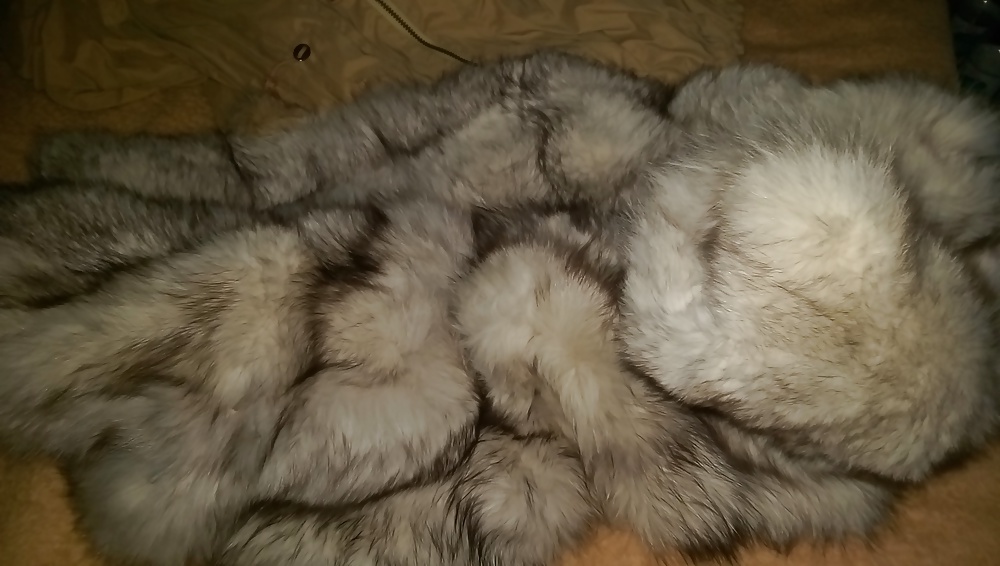 Fuchsmuschi
 #29290636