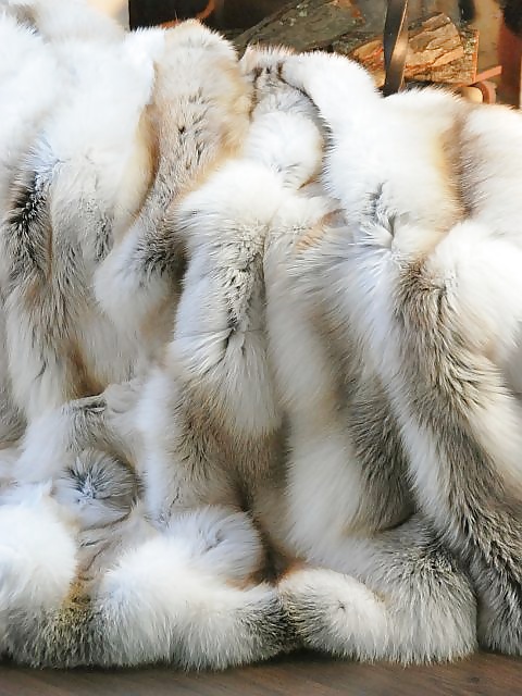 Fur Bed - pleasure on fur #33573649