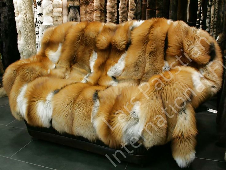 Fur Bed - pleasure on fur #33573657
