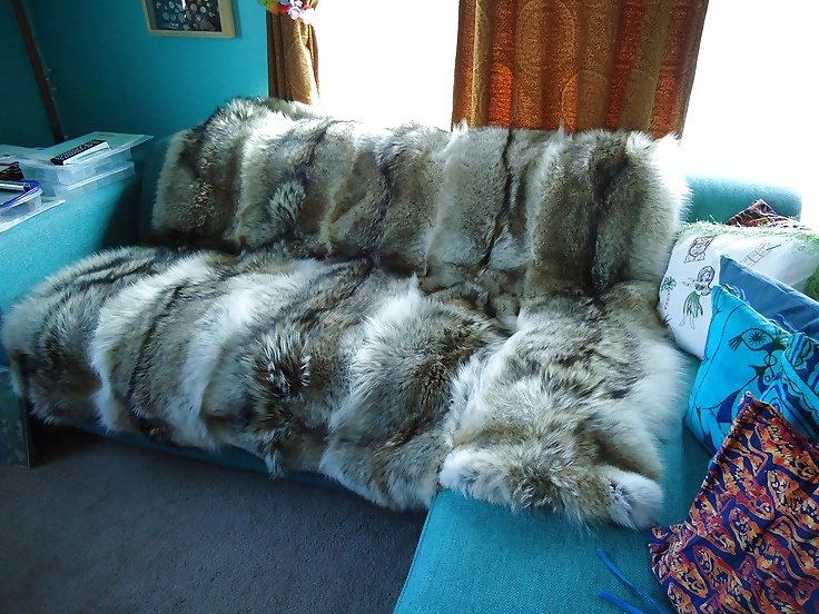 Fur Bed - pleasure on fur #33573679