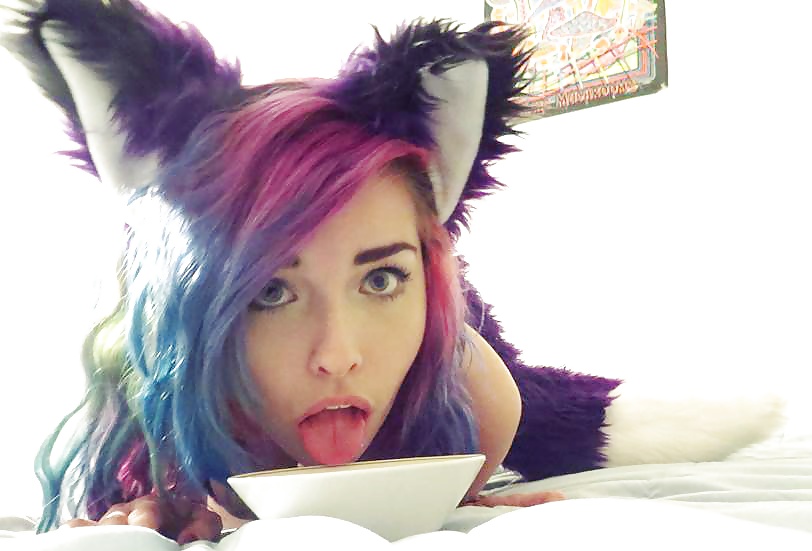 Peluche pero tapones
 #30555394