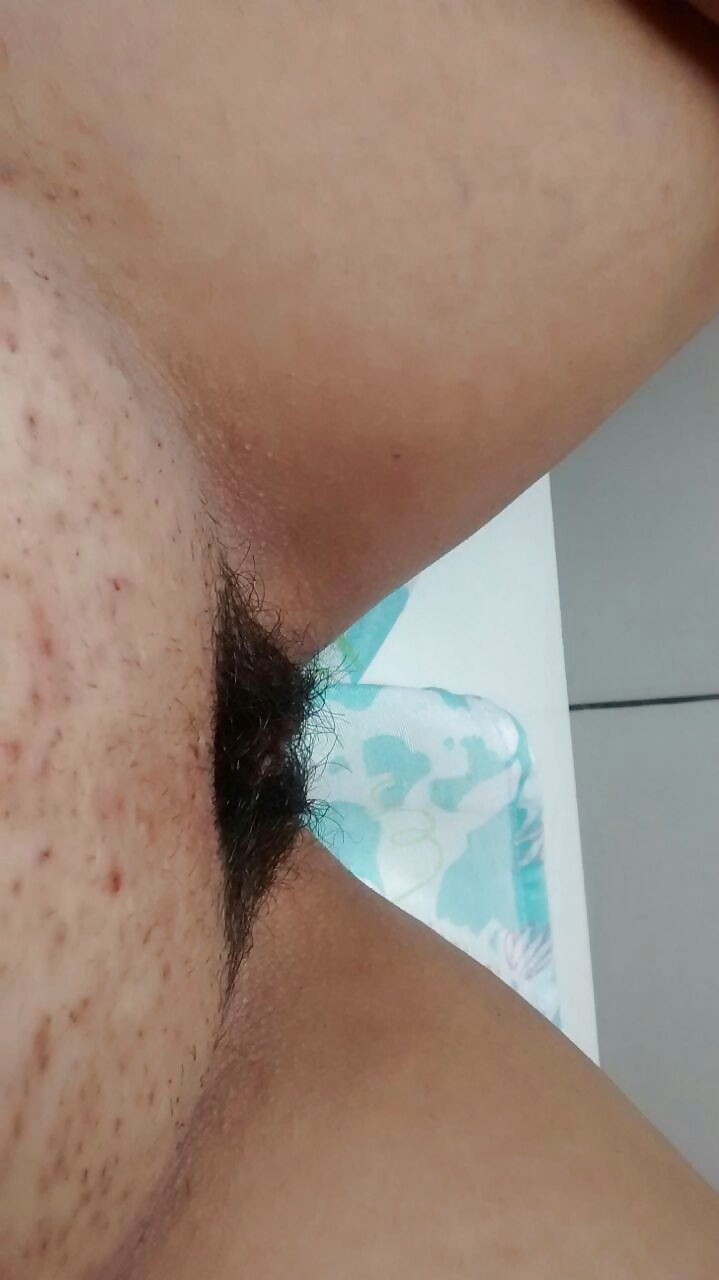 Bicho peludo
 #31340339