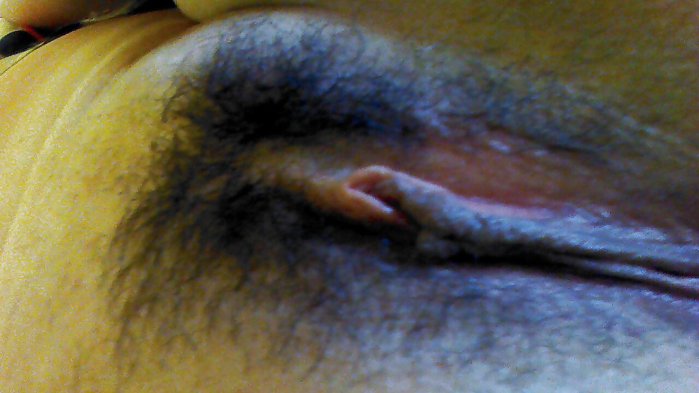 Bicho peludo
 #31340355