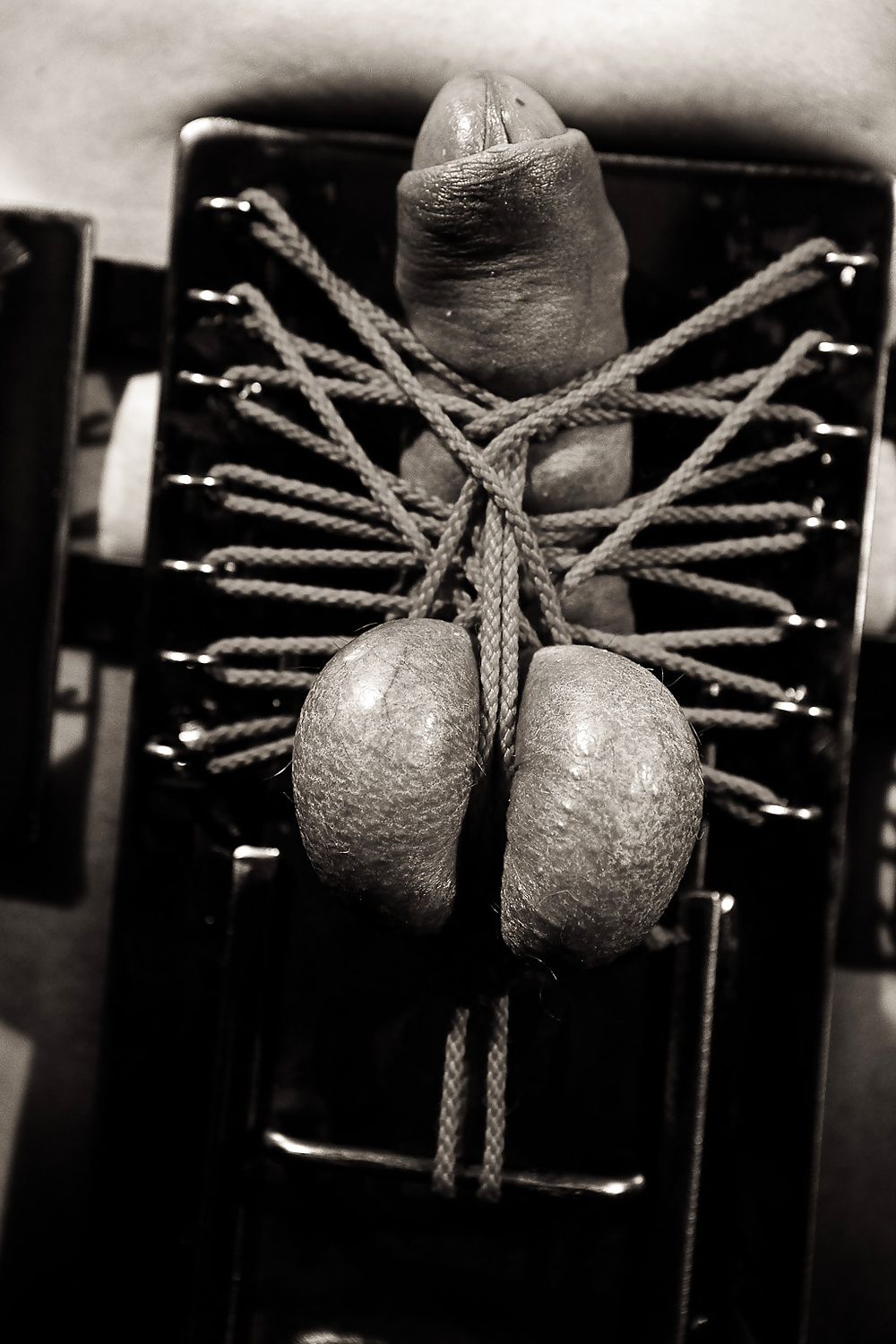 Moi bondage
 #34078897