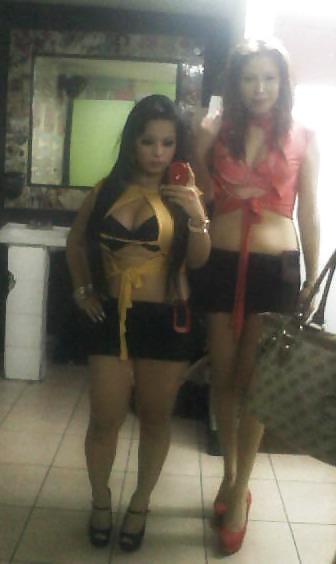 Tributo plis
 #36072318