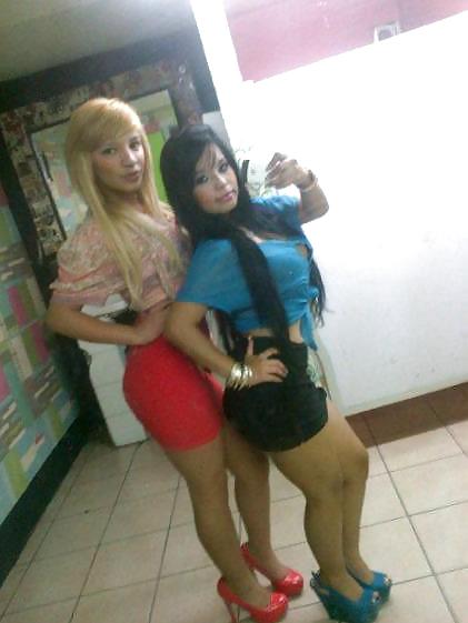 Tributo plis
 #36072324