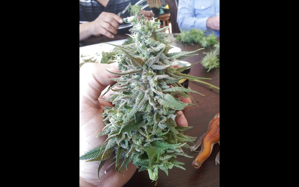 Nug Porn #23624703