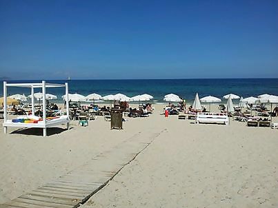 Ibiza 2013 #25167945