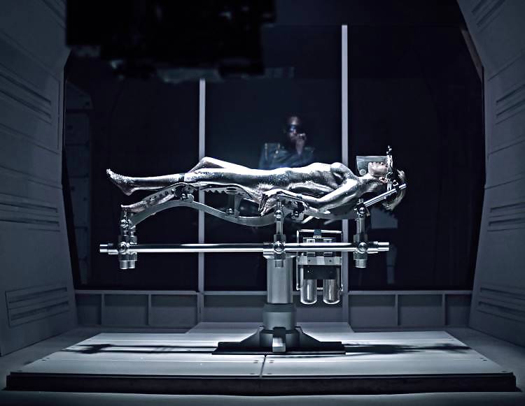 Celebración
 #23813660