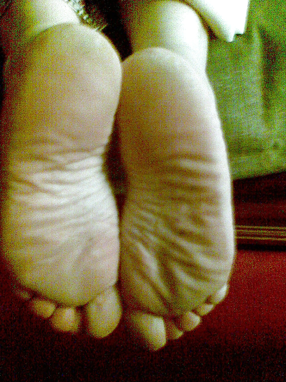 Reife Pflanzen #38736162