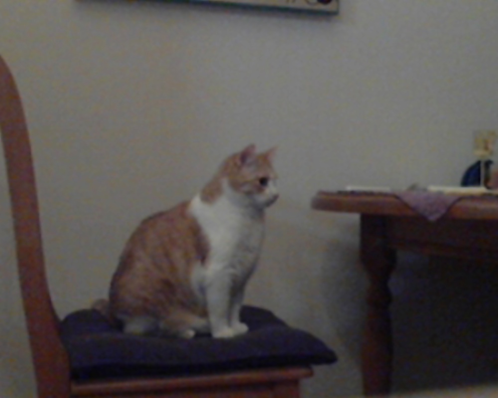 楽しい
 #34285137