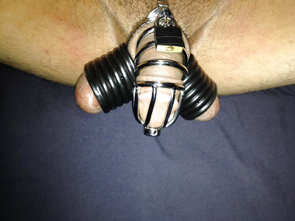 Chastity cage 
 #31543967