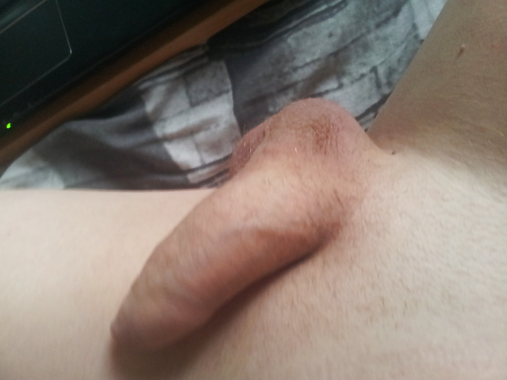 Neue Bilder Von Meinem Rasierten Schwanz #36370277