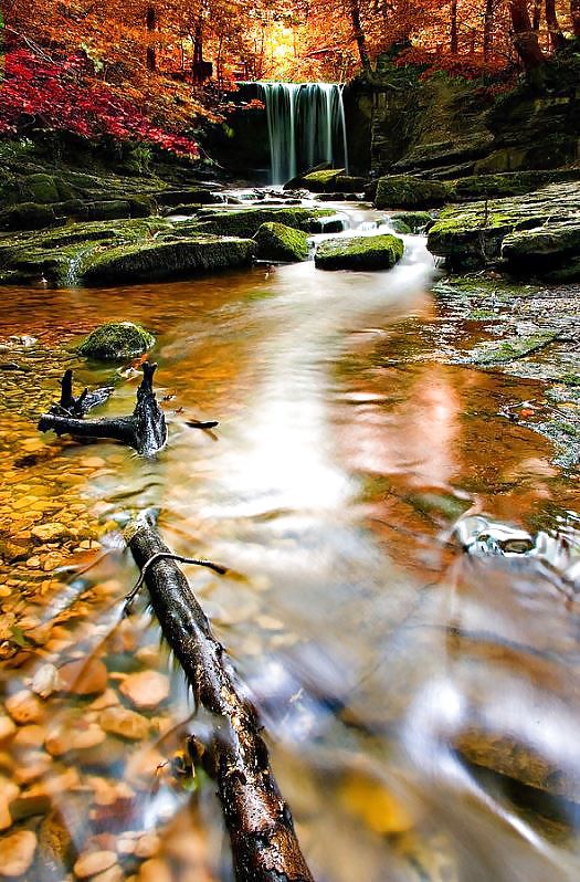 Prelude to autumn.... #36482314