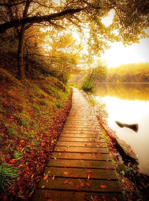 Prelude to autumn.... #36482326