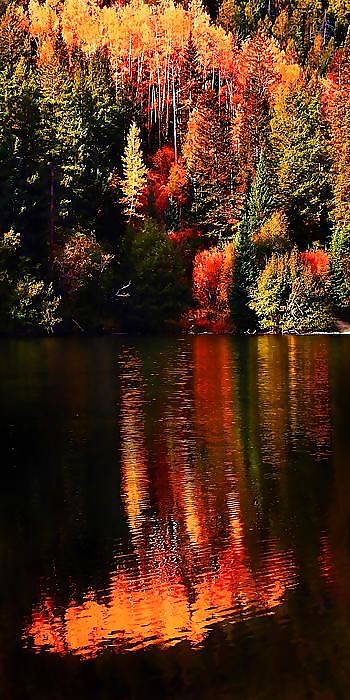 Prelude to autumn.... #36482361