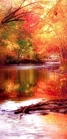 Prelude to autumn.... #36482363