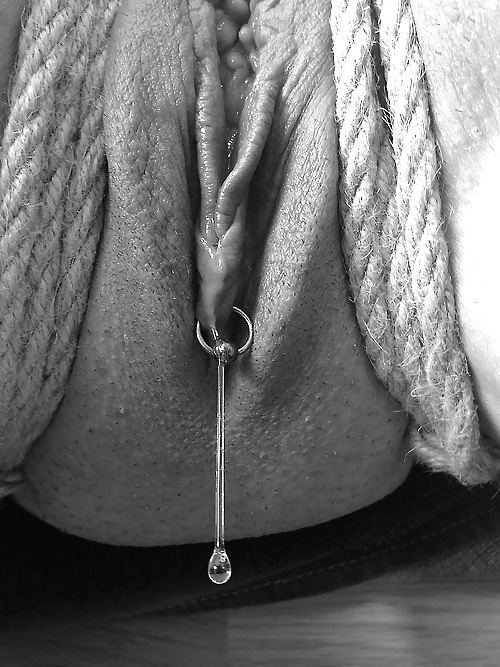 Tb-Sammlung Schmerz Oder Lust XXVI #32245413