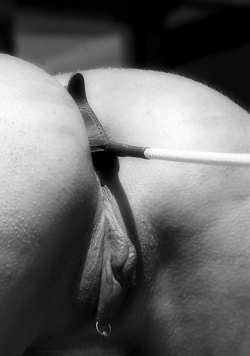 Tb-Sammlung Schmerz Oder Lust XXVI #32245419
