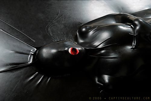 Moi en maid chez moi
 #27003170