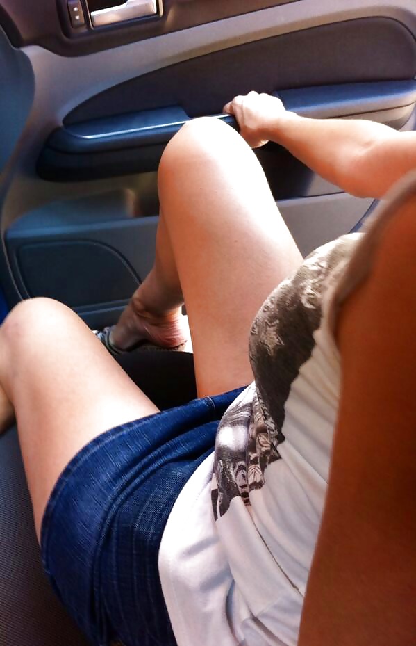 Perra turca peri
 #31191554