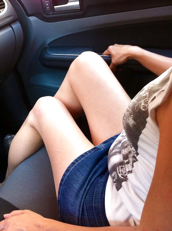 Perra turca peri
 #31191556