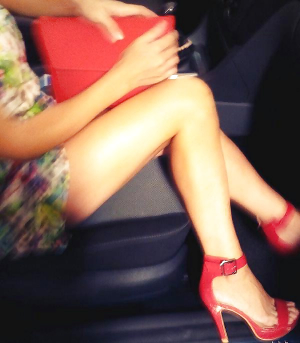 Perra turca peri
 #31191589