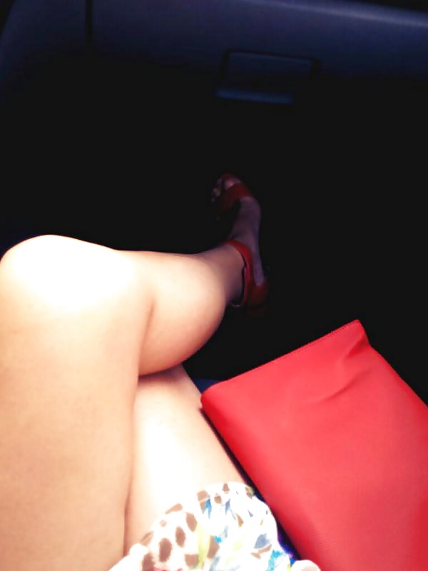 Perra turca peri
 #31191596