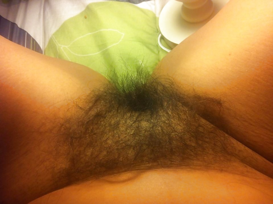 Wife's hairy pussy #23840386