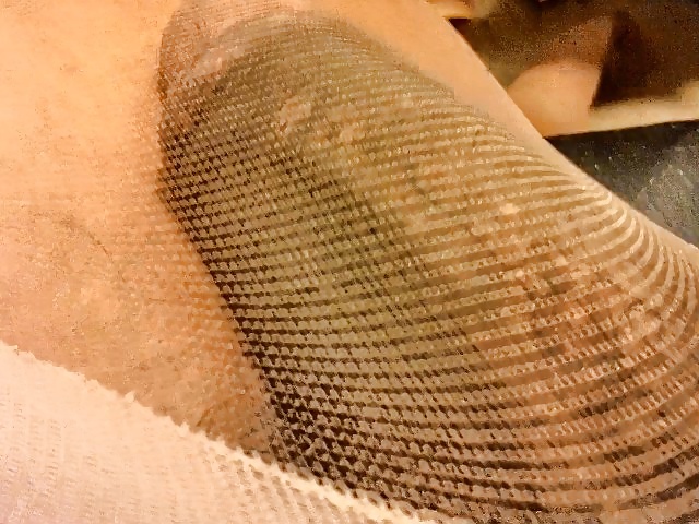 BBC in Shiny hose again #38978315