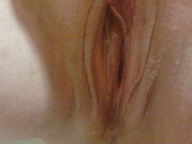 Pussy Selfies #35549466