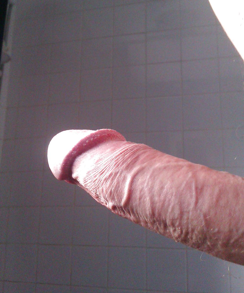 Duro en la polla
 #37229679