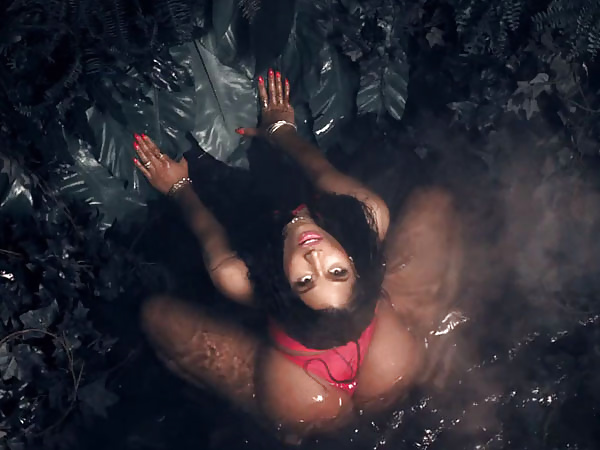 Nicki Minaj's 'Anaconda' Video #32911268
