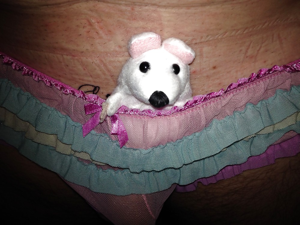 Sissy Jemima's  tiny baby mouse becomes famous #22884542