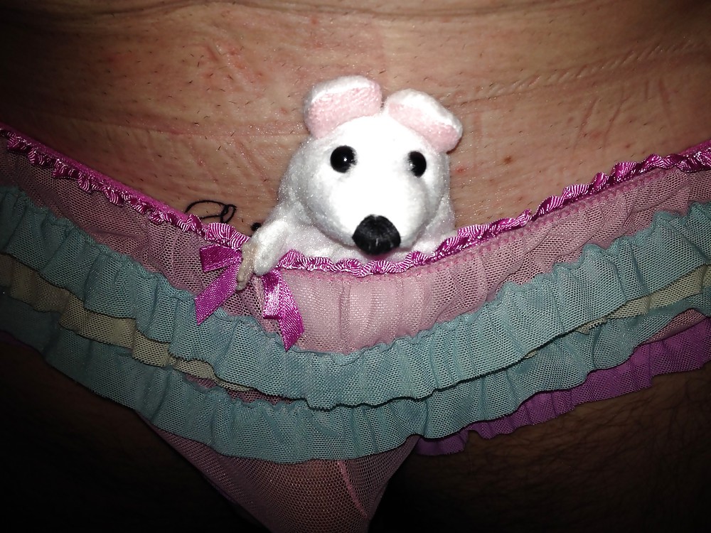 Sissy Jemima's tiny baby mouse becomes famous
 #22884542