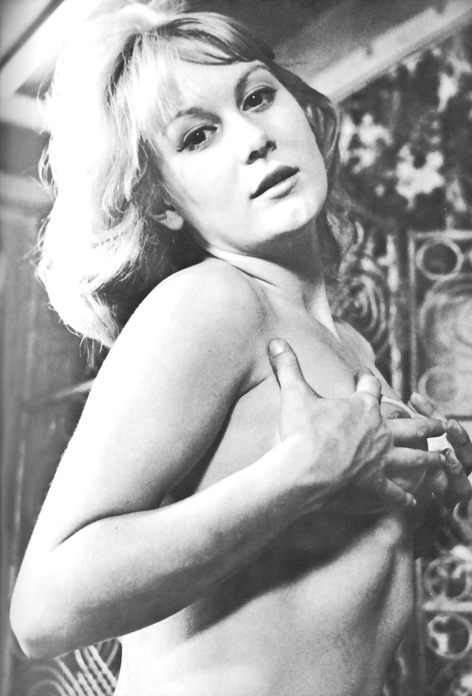 Range #6 (Vintage mag)
 #24784014