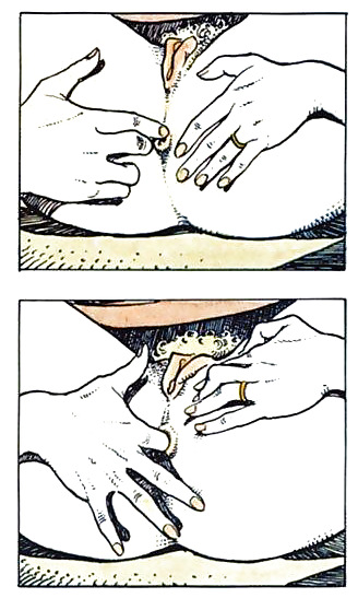 エロスな美女たち
 #34523702